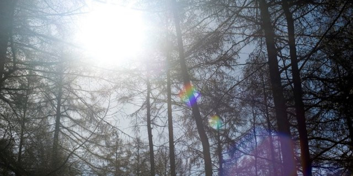 Your Gateway to Big Wins